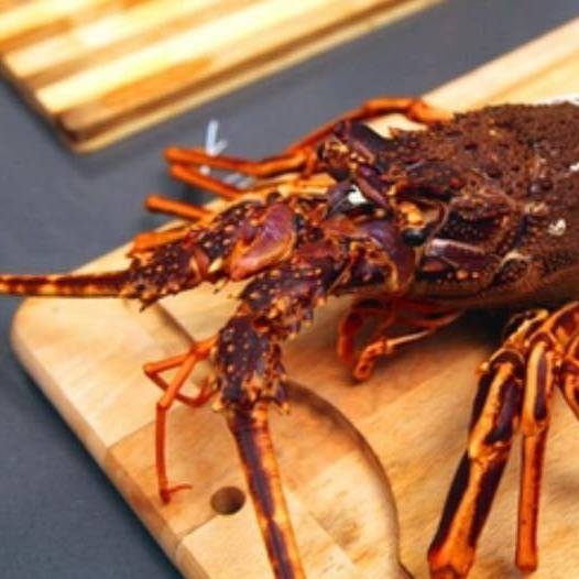 Restaurant - L'épicurien - Nantes - Restaurant grillade Nantes